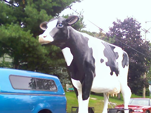 Big Cow